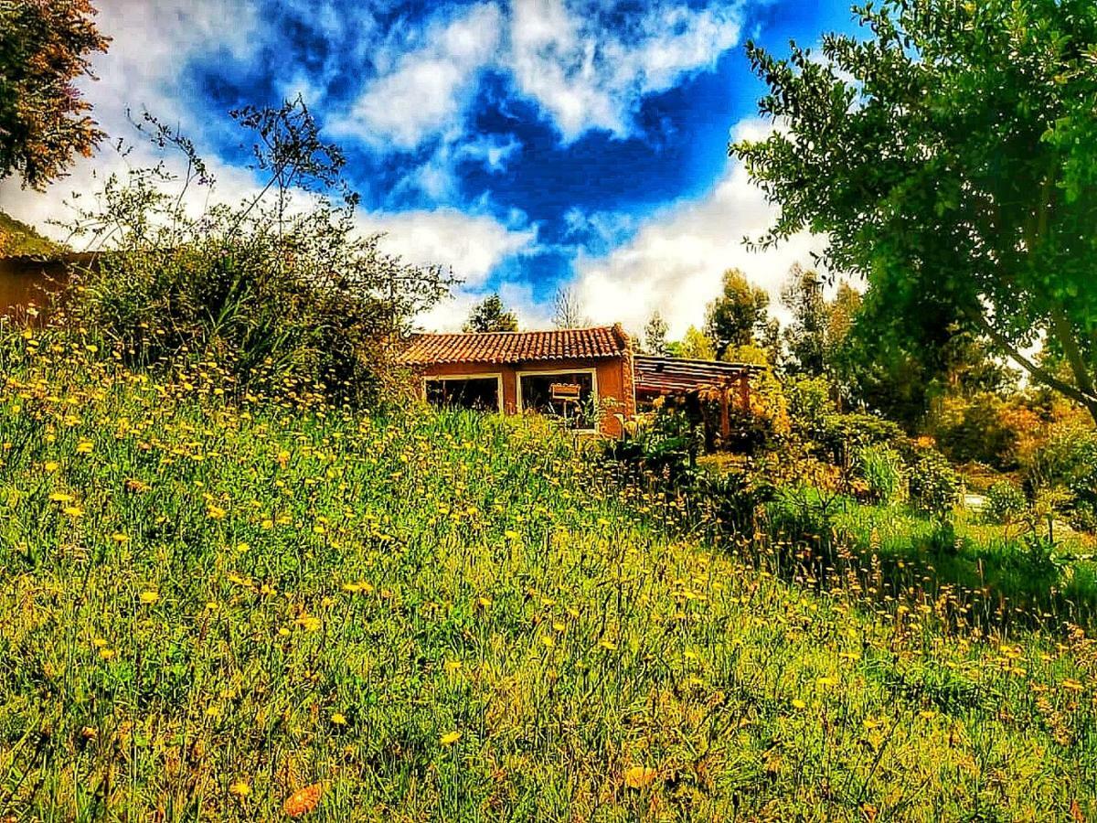 The Naked House - Hotel Nudista Nemocon Exteriér fotografie